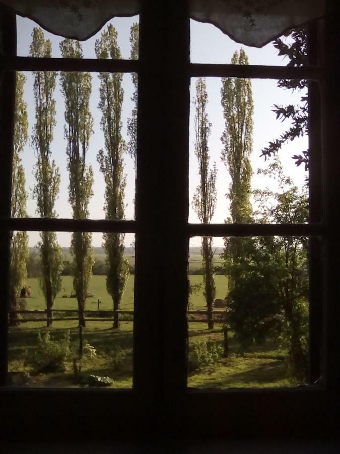 Bed and Breakfast La Ferme Des Vignes Hotot-en-Auge Exterior foto