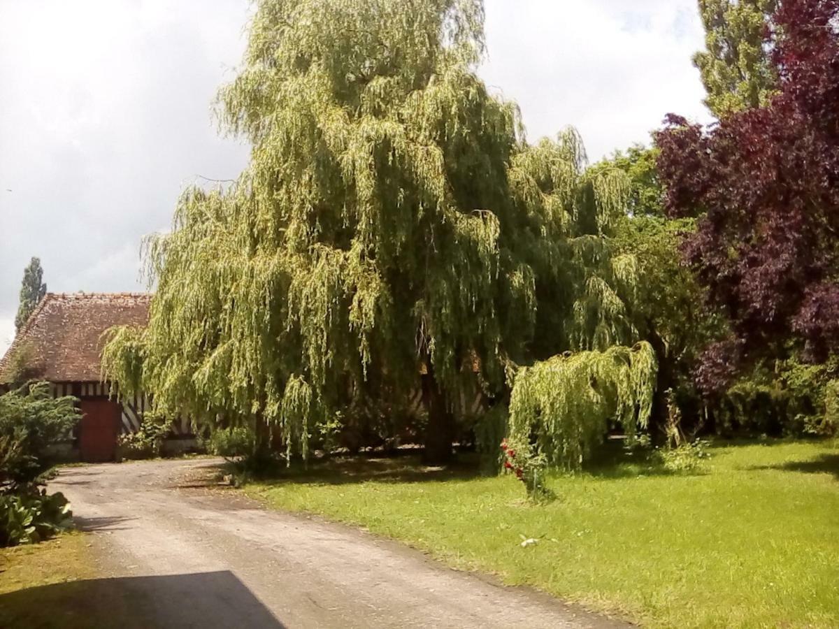 Bed and Breakfast La Ferme Des Vignes Hotot-en-Auge Exterior foto